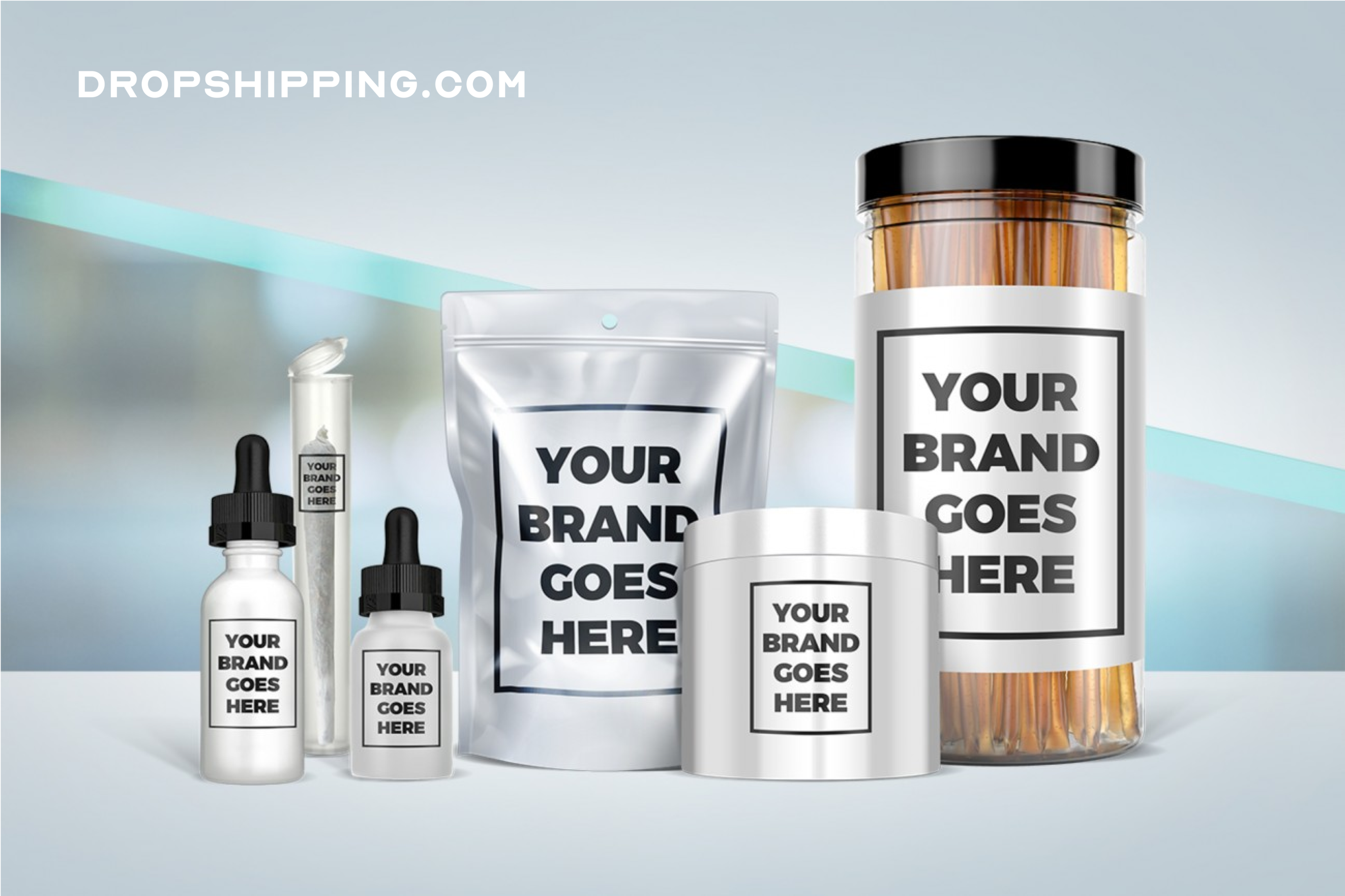 what is private label dropshipping