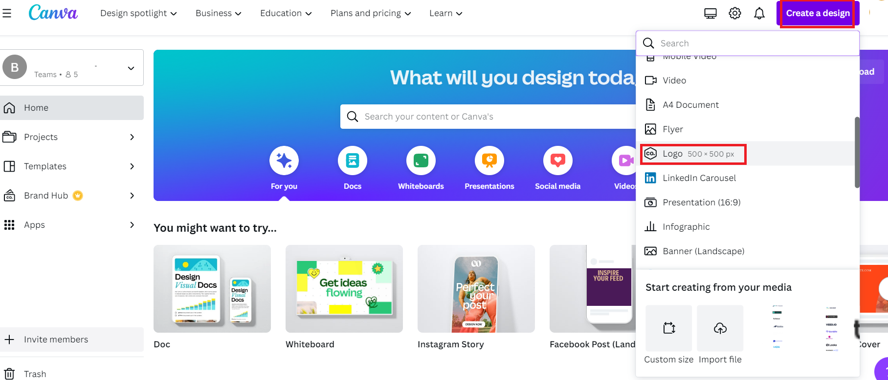 canva create a logo High Ticket Dropshipping