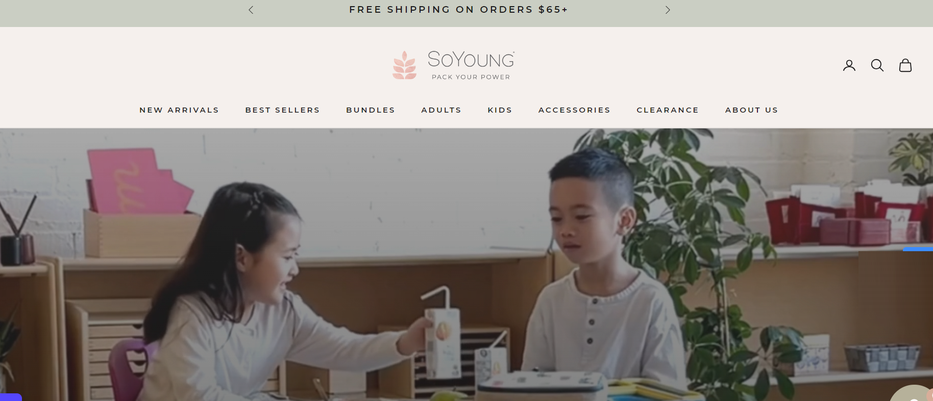 shopify store